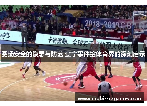 赛场安全的隐患与防范 辽宁事件给体育界的深刻启示